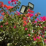 Kleos Noble Retreat - Private Estate (adults Only) Appartamento Limisso