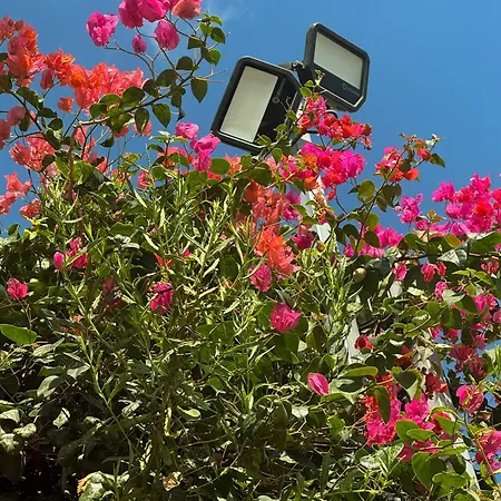 Kleos Noble Retreat - Private Estate (adults Only) Apartmán Lemesos