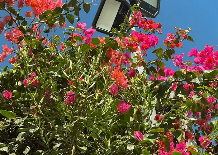 Kleos Noble Retreat - Private Estate (adults Only) Apartament Limassol